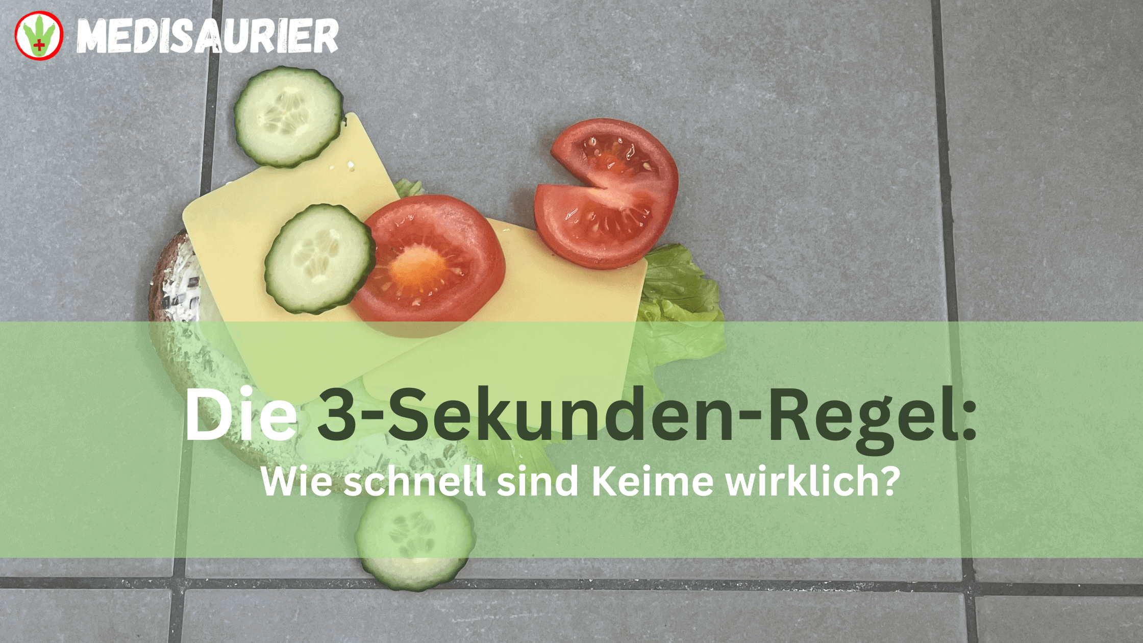 Du betrachtest gerade Die 3-Sekunden-Regel: Wie schnell sind Keime wirklich?